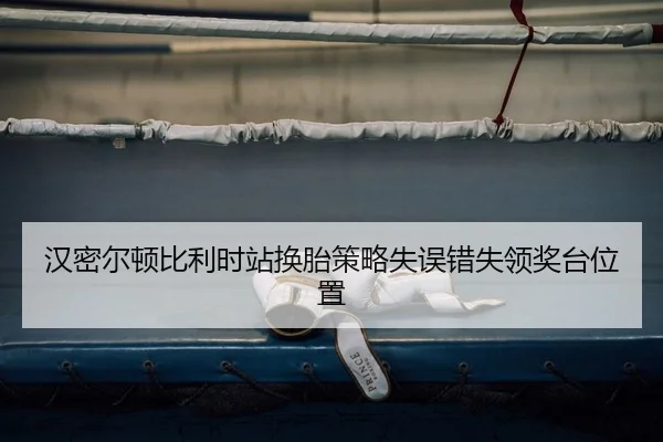 han-mi-er-dun-bi-li-shi-zhan-huan-tai-ce-lve-shi-wu-cuo-shi-ling-jiang-tai-wei-zhi-2-199.jpg